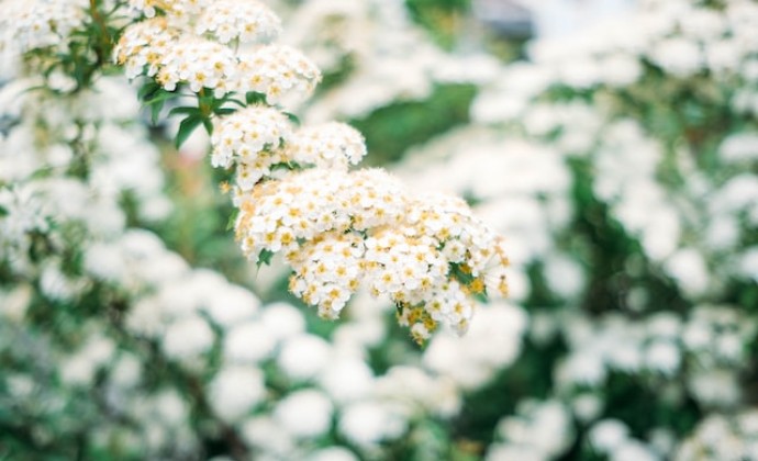 道教三清指的是什么？