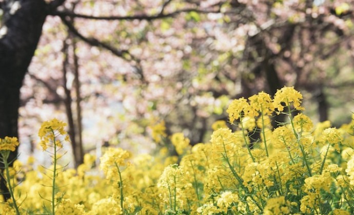 道教的重要节日