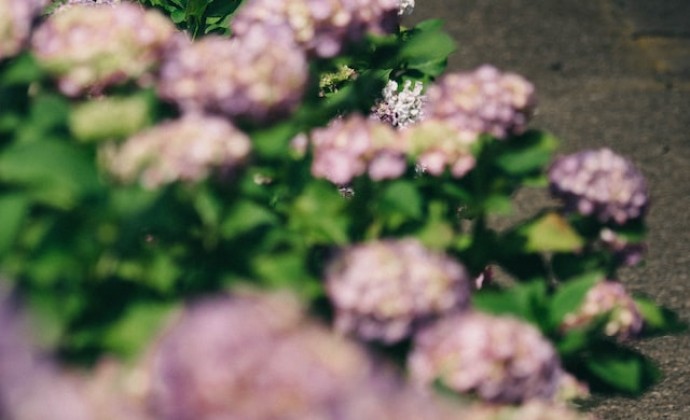 道教的宇宙观念