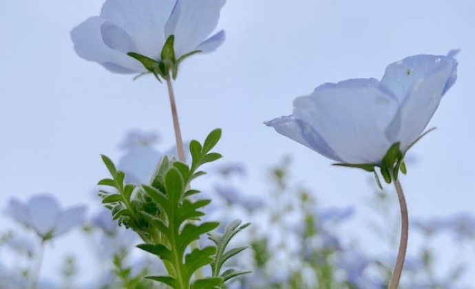 道教的“十二愿”，满满都是慈悲！