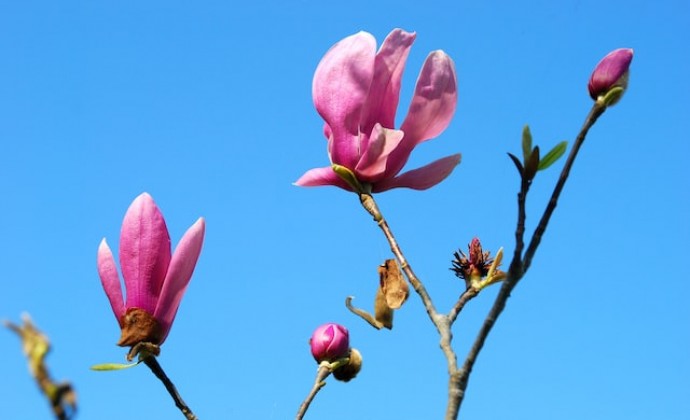 夏季勿贪凉，养生需因时而变