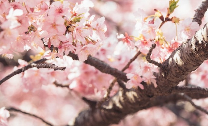 讲科学的道教，对天文自然有多大的影响？