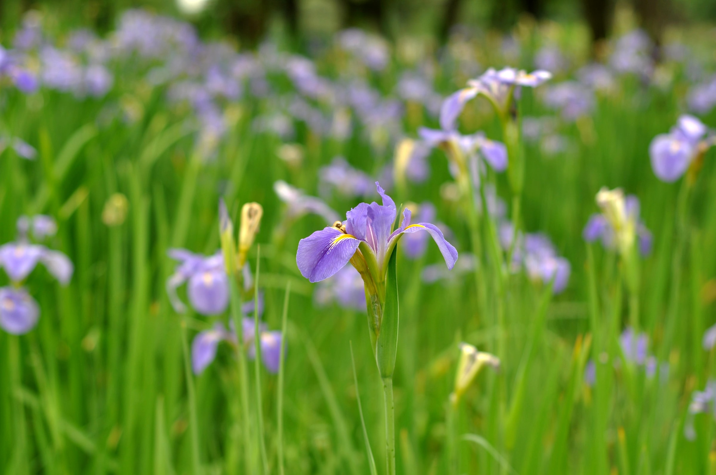道家的6句经典名言