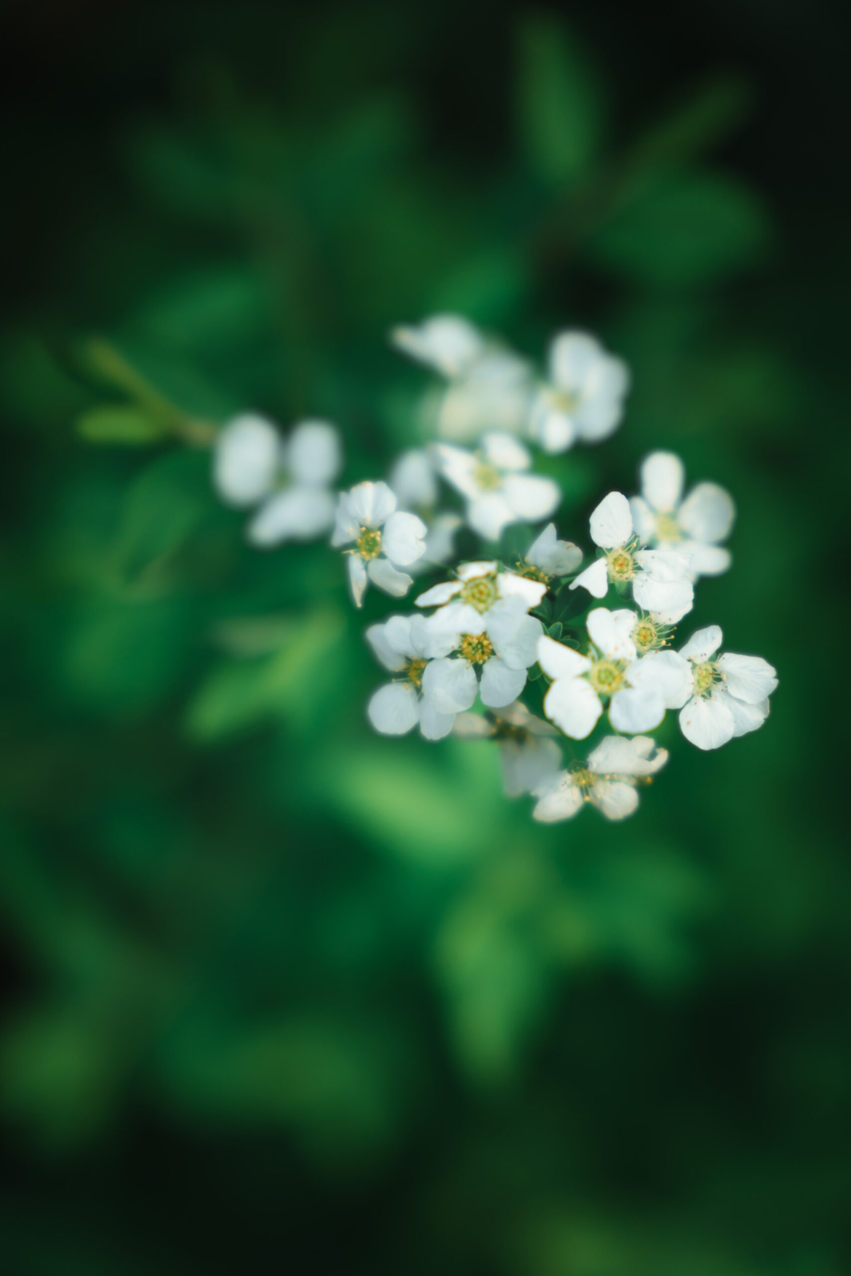 《太上感应篇》